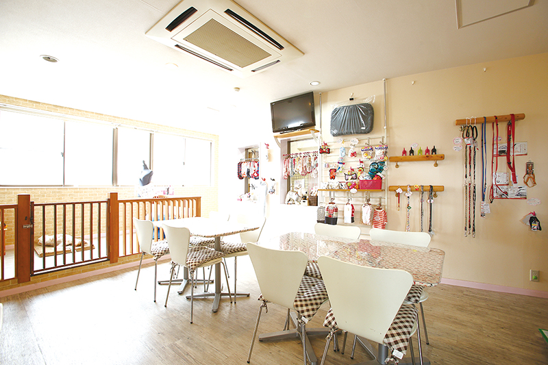 石川県ドッグカフェ